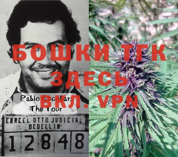 прущая мука Бородино